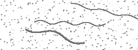 Image du CAPTCHA